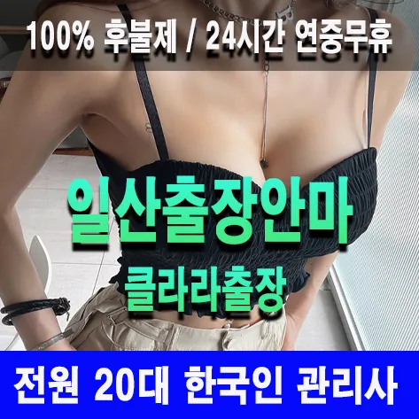 일산출장안마 일산출장마사지 클라라출장